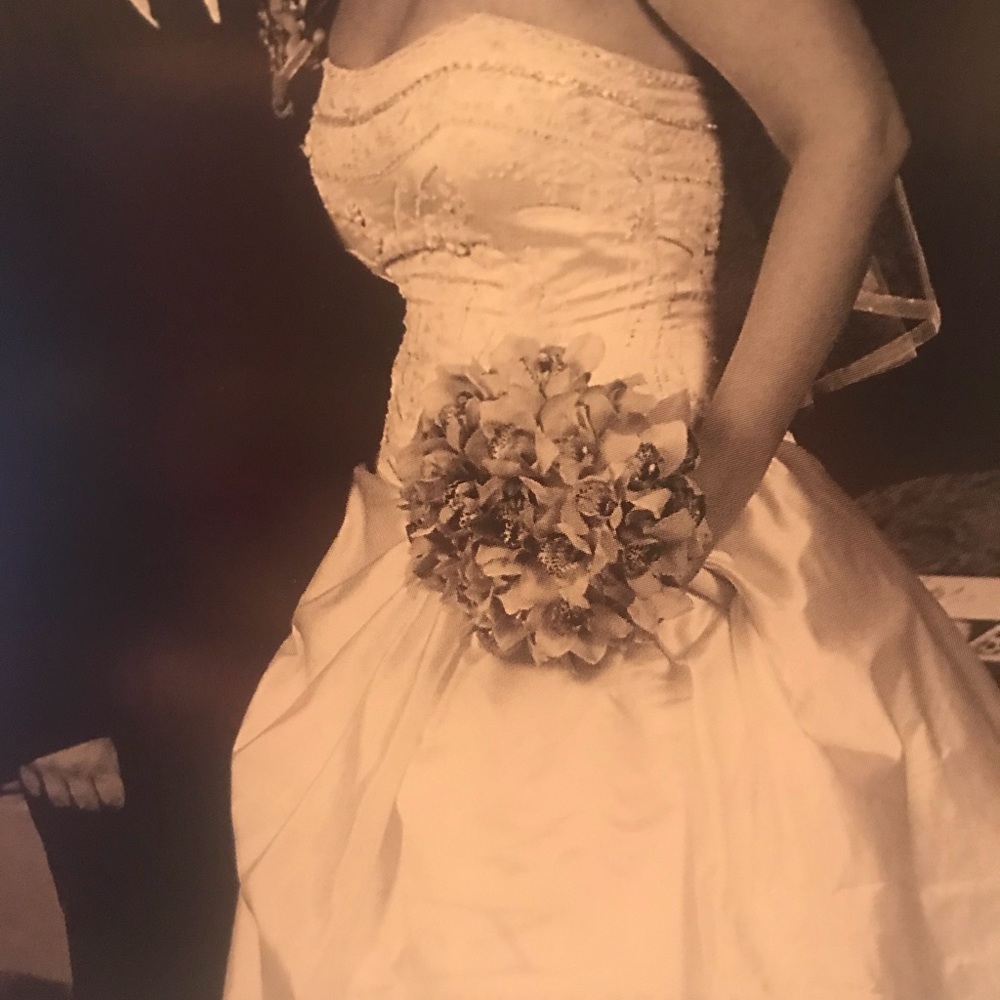 Ines Di Santo Wedding Gown